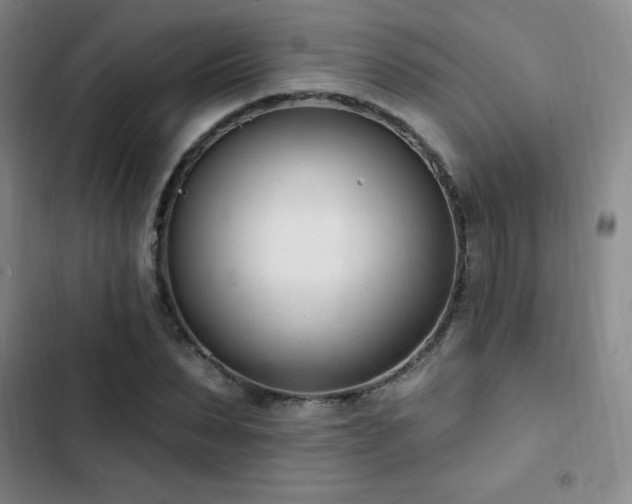 X0000103170879200808221232