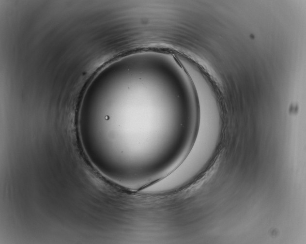 X0000103170881200808221232