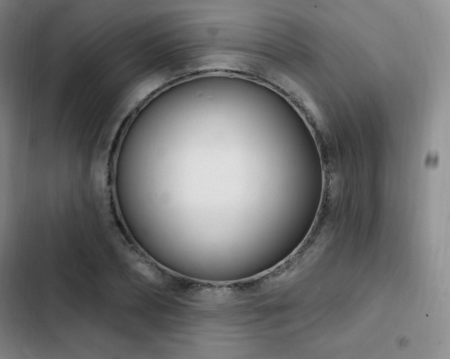 X0000103170882200808221232