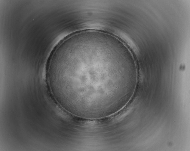 X0000103170883200808221232