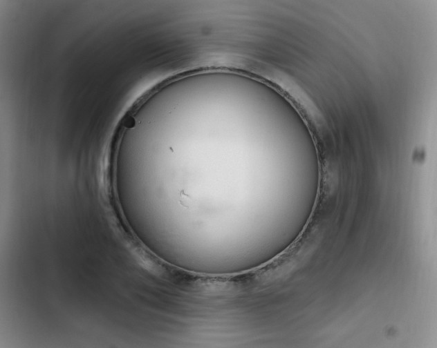 X0000103170886200808221232
