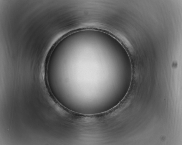 X0000103170888200808221232