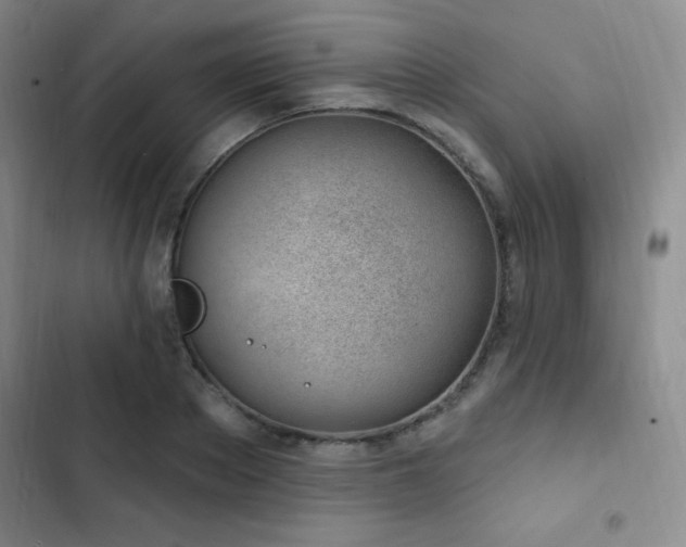 X0000103170889200808221232