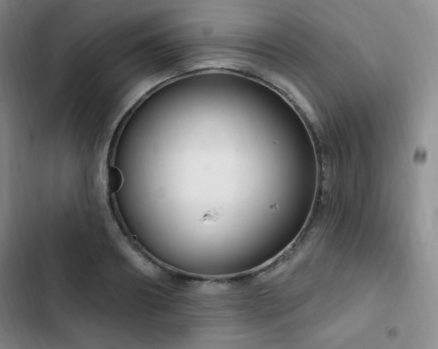 X0000103170890200808221232