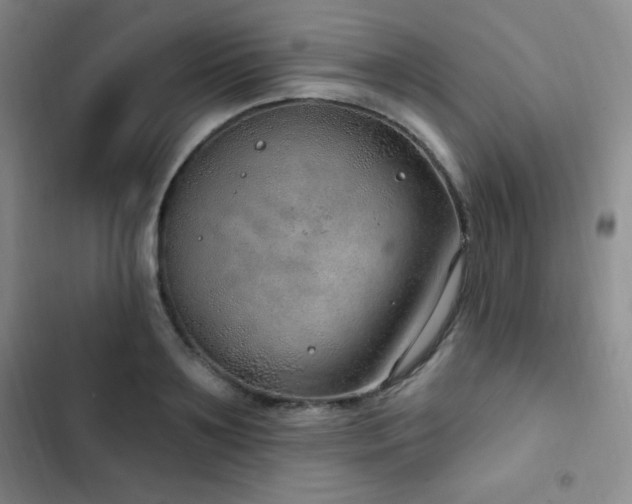 X0000103170891200808221232
