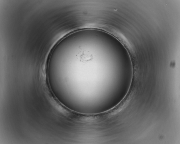 X0000103170892200808221232