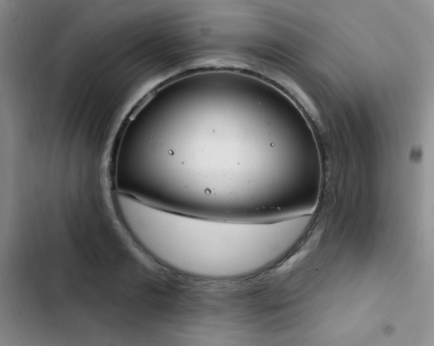 X0000103170893200808221232