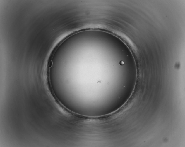 X0000103170894200808221232