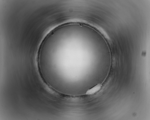 X0000103170895200808221232