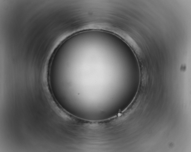 X0000103170896200808221232