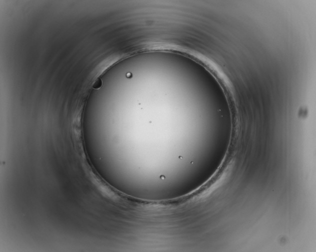 X0000103170897200808221232