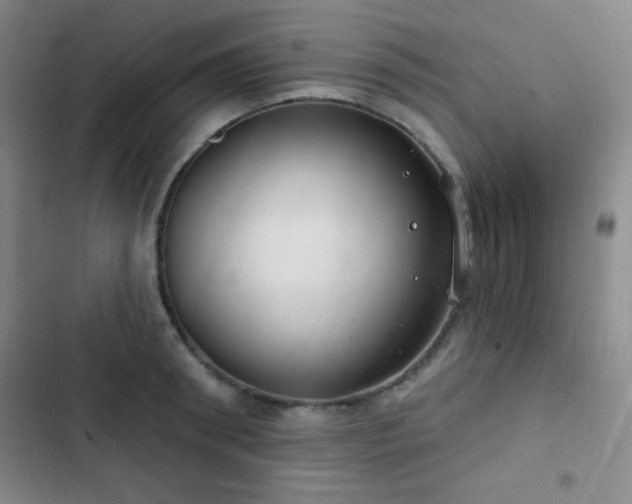 X0000103170898200808221232