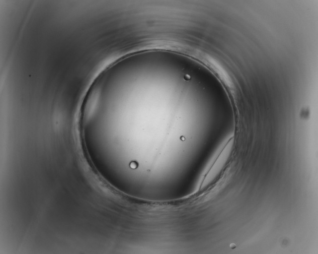 X0000103170899200808221232