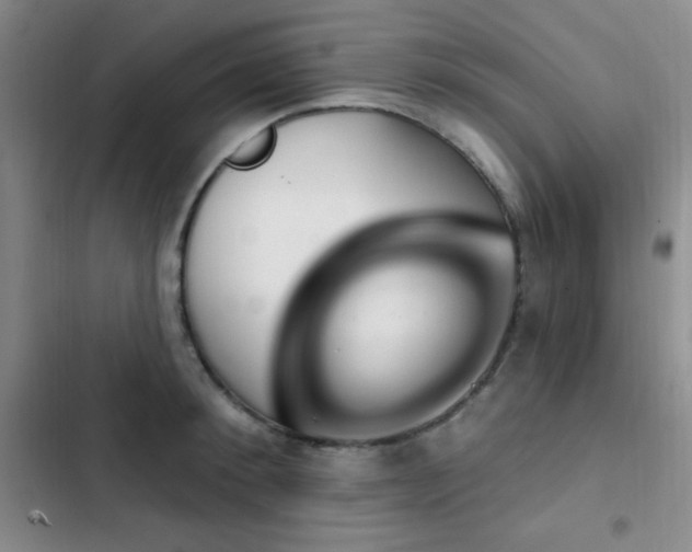 X0000103170900200808221232