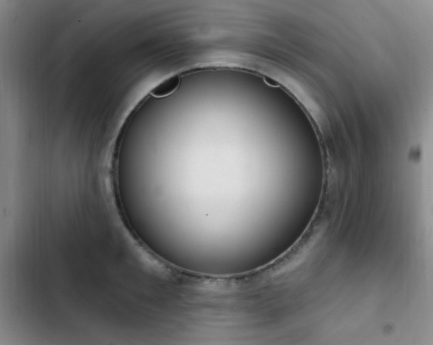 X0000103170901200808221232