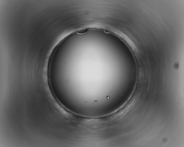X0000103170902200808221232