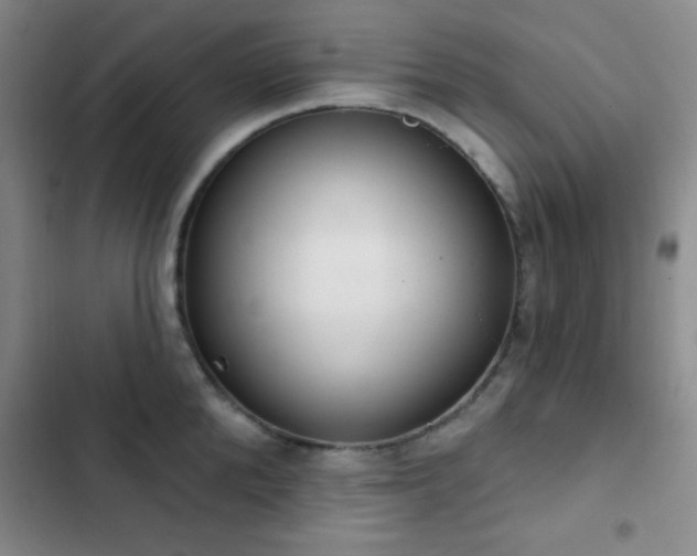 X0000103170904200808221232