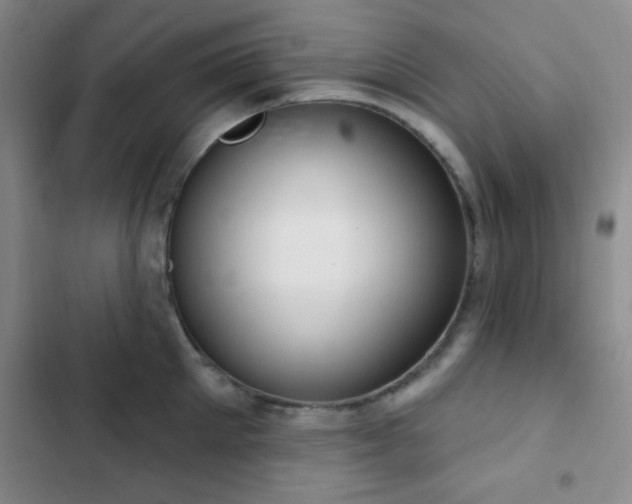 X0000103170905200808221232