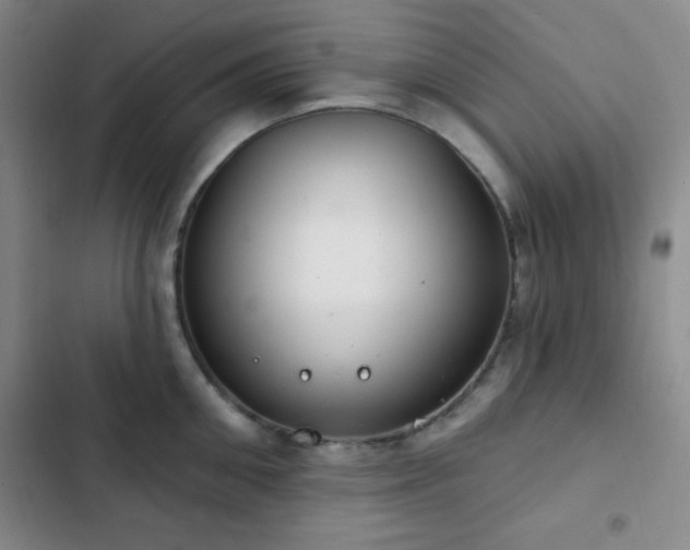 X0000103170906200808221232