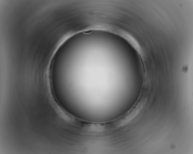 X0000103170907200808221232