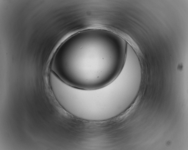 X0000103170908200808221232