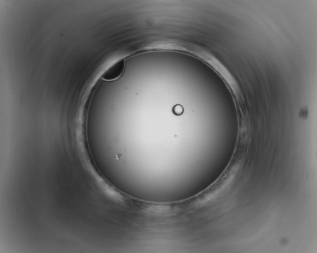 X0000103170909200808221232