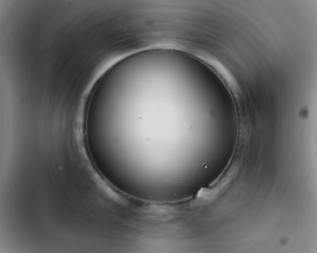 X0000103170910200808221232