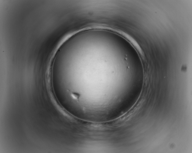X0000103170911200808221231