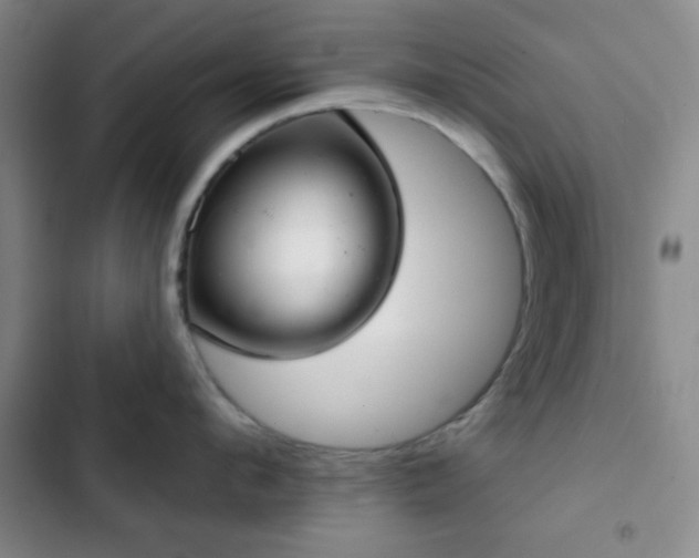 X0000103170912200808221231