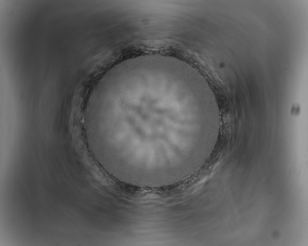 X0000103170913200808221231