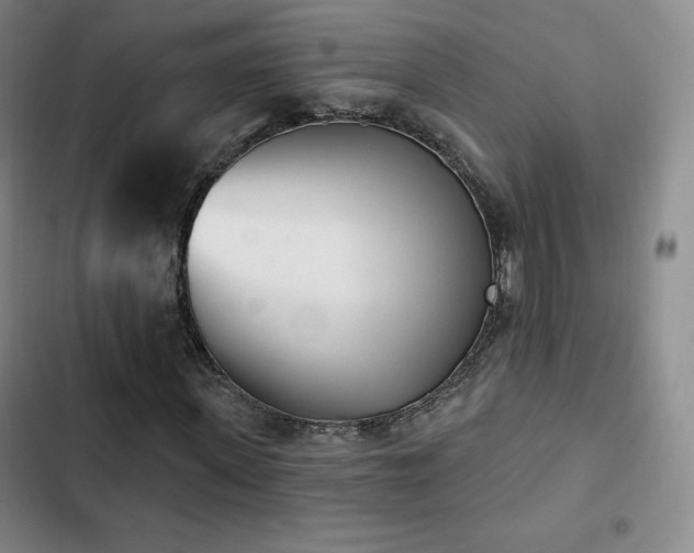 X0000103170915200808221231