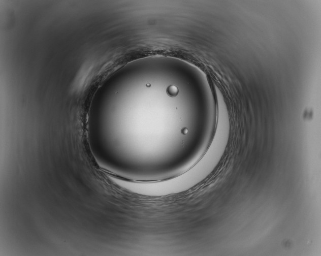 X0000103170916200808221231