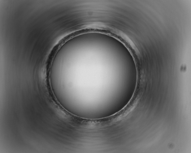 X0000103170923200808221231