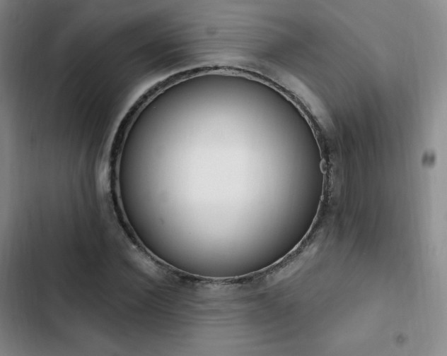 X0000103170924200808221231