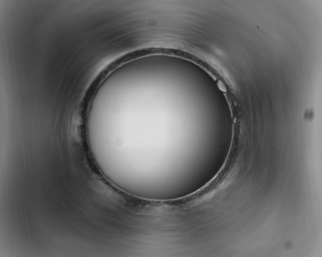 X0000103170926200808221231