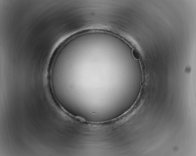 X0000103170928200808221231