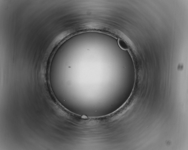 X0000103170930200808221231