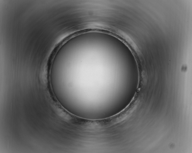 X0000103170931200808221231