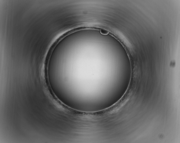 X0000103170932200808221231