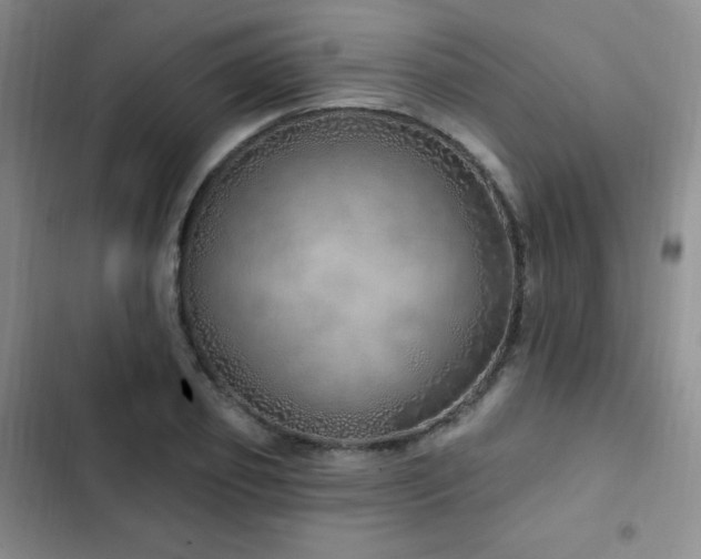 X0000103170933200808221231