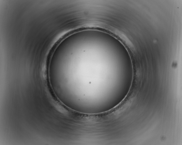 X0000103170934200808221231