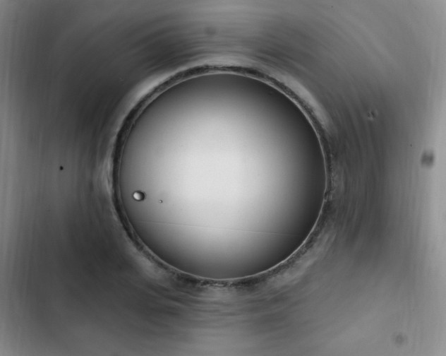 X0000103170935200808221231
