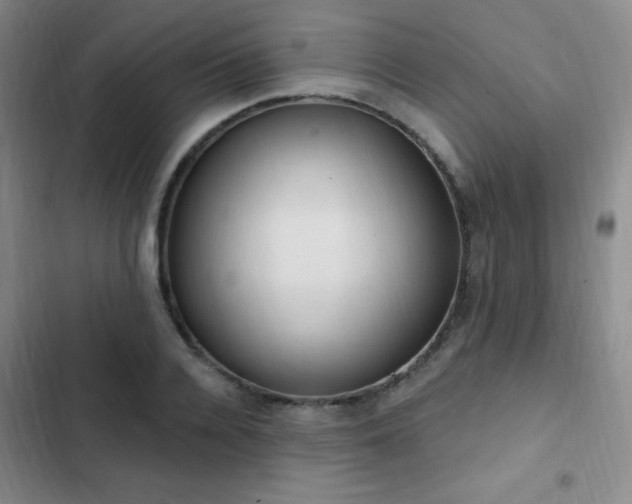 X0000103170936200808221231