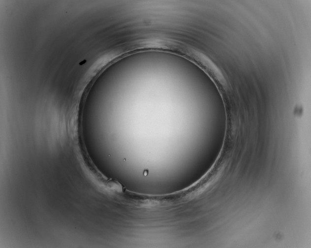 X0000103170938200808221231