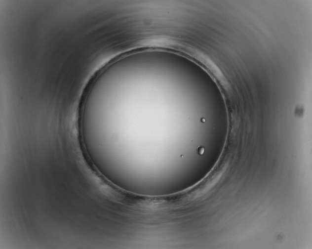 X0000103170939200808221231
