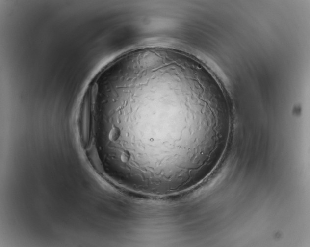 X0000103170941200808221231