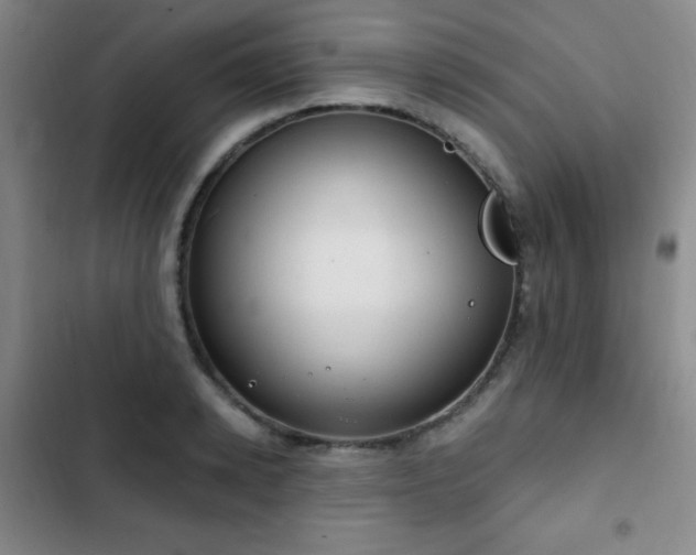 X0000103170942200808221231