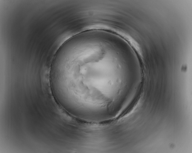 X0000103170945200808221231