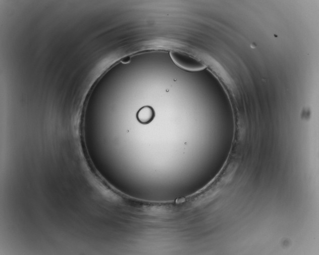 X0000103170946200808221231