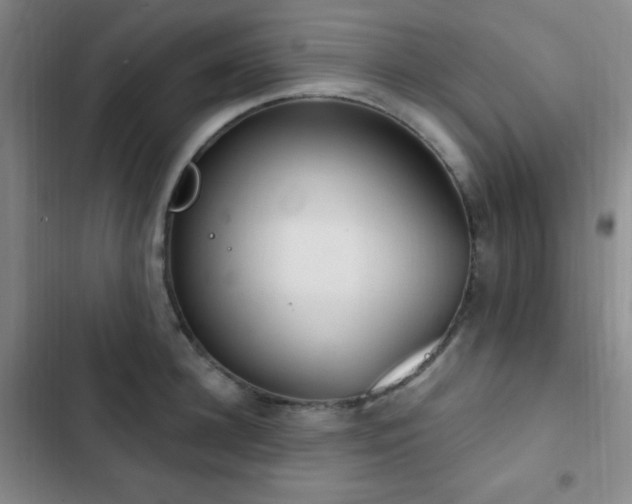 X0000103170948200808221231